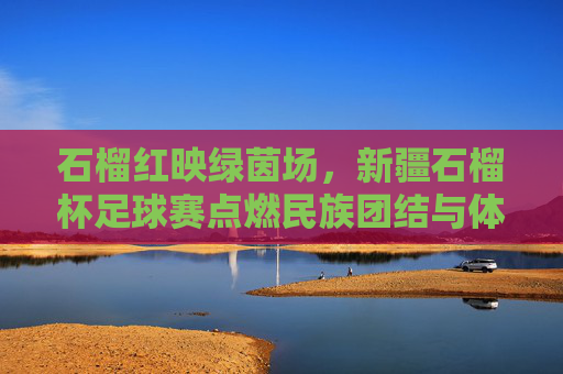 石榴红映绿茵场,新疆石榴杯足球赛点燃民族团结与体育激情,石榴红映绿茵场,新疆石榴杯足球赛点燃民族团结与体育激情