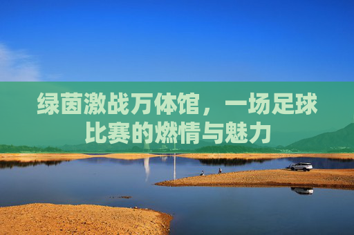 绿茵激战万体馆,一场足球比赛的燃情与魅力