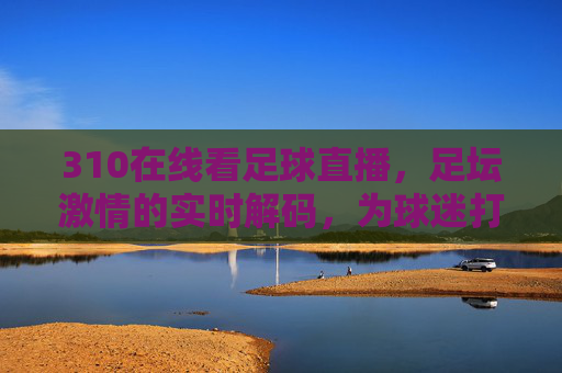 310在线看足球直播，足坛激情的实时解码，为球迷打造沉浸式观赛体验