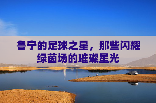 鲁宁的足球之星，那些闪耀绿茵场的璀璨星光