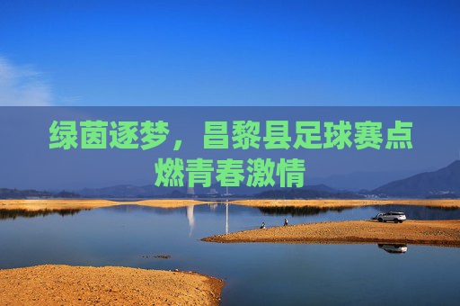 绿茵逐梦，昌黎县足球赛点燃青春激情