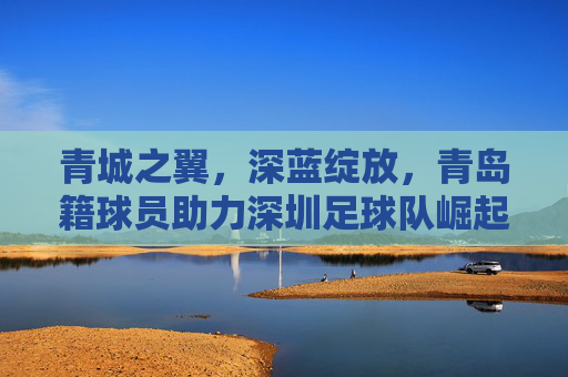 青城之翼，深蓝绽放，青岛籍球员助力深圳足球队崛起的足迹