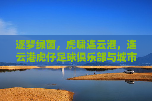 逐梦绿茵，虎啸连云港，连云港虎仔足球俱乐部与城市足球的青春共鸣，逐梦绿茵，虎啸连云港，连云港虎仔足球俱乐部与城市足球的青春共鸣