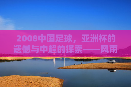 2008中国足球,亚洲杯的遗憾与中超的探索——风雨兼程的转折期