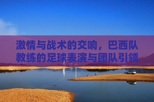 激情与战术的交响，巴西队教练的足球表演与团队引领艺术，激情与战术的交响，巴西队教练的足球艺术与团队引领智慧
