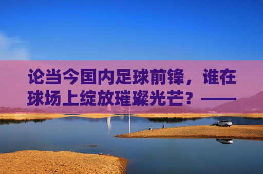 论当今国内足球前锋,谁在球场上绽放璀璨光芒?——聚焦国内前锋的现代表现与角色演变