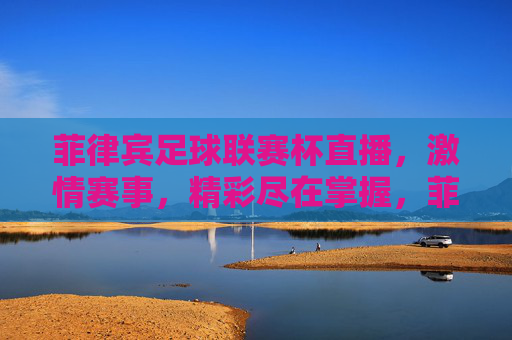 菲律宾足球联赛杯直播，激情赛事，精彩尽在掌握，菲律宾足球联赛杯直播，激情赛事，精彩尽在掌握