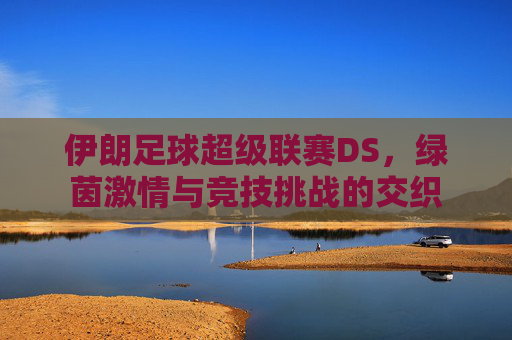 伊朗足球超级联赛DS,绿茵激情与竞技挑战的交织