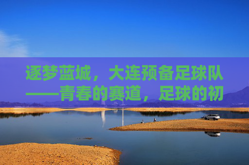逐梦蓝城，大连预备足球队——青春的赛道，足球的初心与传承