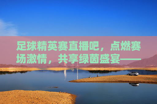 足球精英赛直播吧，点燃赛场激情，共享绿茵盛宴——全球球迷的数字观赛新体验，足球精英赛直播吧，点燃赛场激情，共享绿茵盛宴——全球球迷的数字观赛新体验