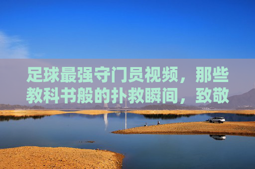 足球最强守门员视频，那些教科书般的扑救瞬间，致敬足球门前的守护神