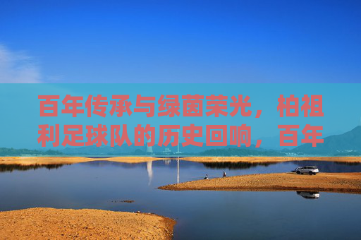 百年传承与绿茵荣光,柏祖利足球队的历史回响,百年传承与绿茵荣光,柏祖利足球队的历史回响
