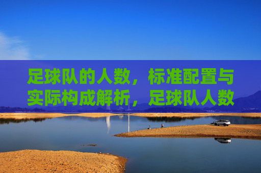 足球队的人数，标准配置与实际构成解析，足球队人数，标准配置与实际构成解析