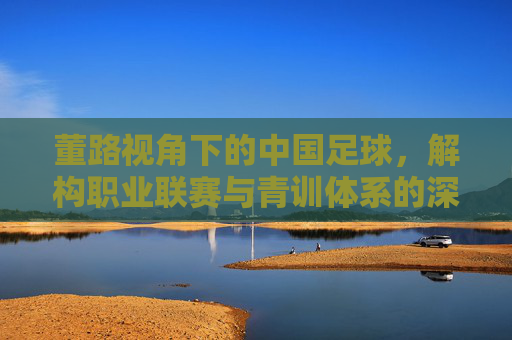 董路视角下的中国足球，解构职业联赛与青训体系的深层矛盾