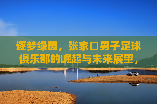 逐梦绿茵，张家口男子足球俱乐部的崛起与未来展望，逐梦绿茵，张家口男子足球俱乐部的崛起与未来展望
