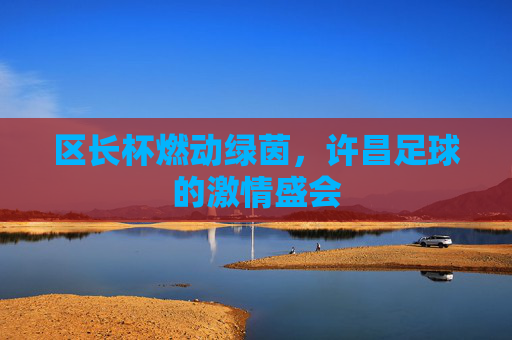 区长杯燃动绿茵，许昌足球的激情盛会