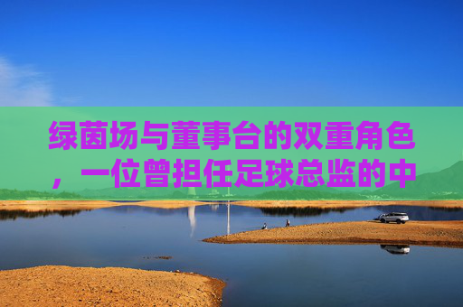 绿茵场与董事台的双重角色,一位曾担任足球总监的中场,用球商重塑球队命运,从球场到董事台,足球总监中场以球商重塑球队命运