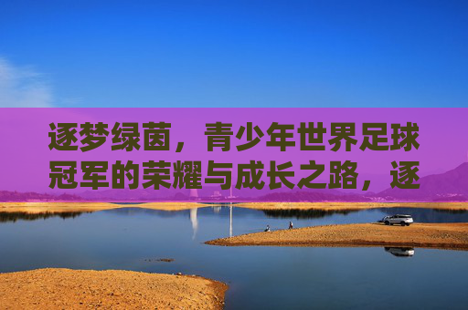 逐梦绿茵，青少年世界足球冠军的荣耀与成长之路，逐梦绿茵，青少年世界足球冠军的荣耀与成长之路
