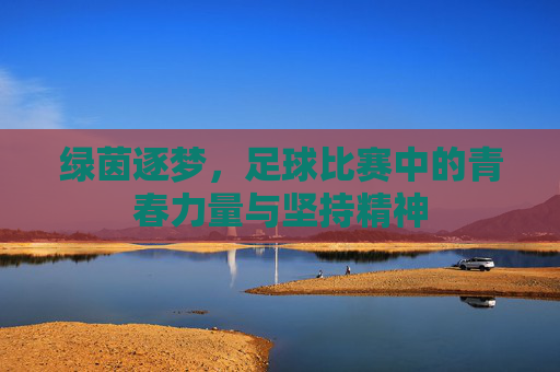 绿茵逐梦，足球比赛中的青春力量与坚持精神