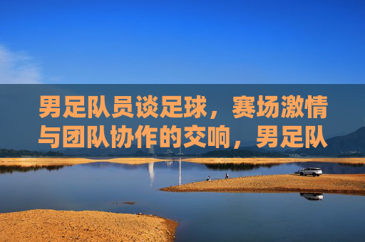 男足队员谈足球，赛场激情与团队协作的交响，男足队员谈足球，赛场激情与团队协作的交响