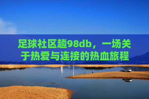 足球社区趟98db，一场关于热爱与连接的热血旅程