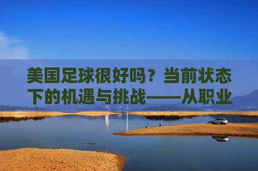 美国足球很好吗？当前状态下的机遇与挑战——从职业联赛到国家队的现状与未来，美国足球，当前机遇与挑战探析——从职业联赛到国家队的现状与未来