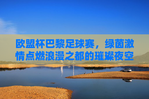 欧盟杯巴黎足球赛，绿茵激情点燃浪漫之都的璀璨夜空