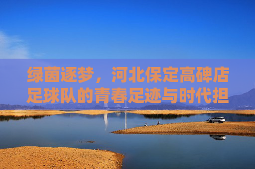 绿茵逐梦,河北保定高碑店足球队的青春足迹与时代担当,绿茵逐梦,河北保定高碑店足球队的青春足迹与时代担当