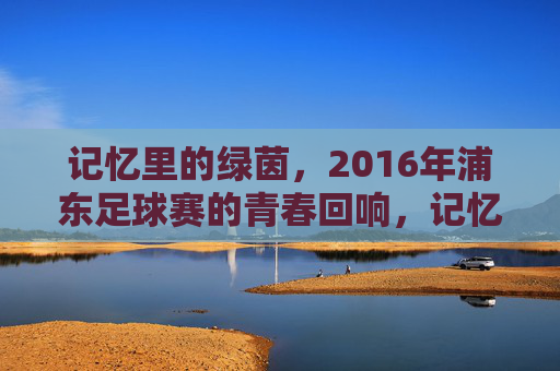 记忆里的绿茵，2016年浦东足球赛的青春回响，记忆里的绿茵，2016年浦东足球赛的青春回响