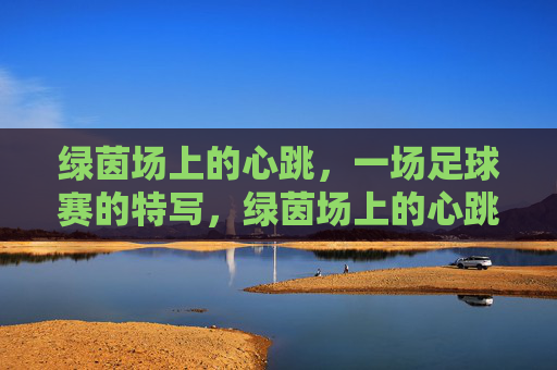 绿茵场上的心跳，一场足球赛的特写，绿茵场上的心跳，一场足球赛的特写