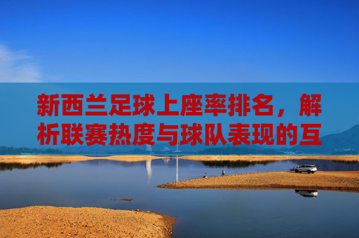 新西兰足球上座率排名,解析联赛热度与球队表现的互动关系,新西兰足球联赛上座率排名,解析热度与球队表现的互动关系