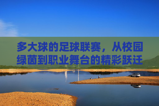 多大球的足球联赛,从校园绿茵到职业舞台的精彩跃迁,多大足球联赛,从校园绿茵到职业舞台的精彩跃迁