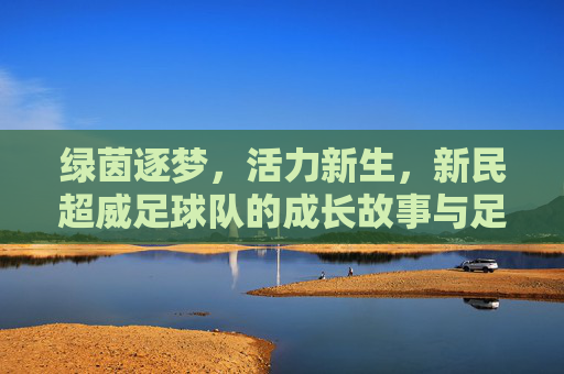绿茵逐梦，活力新生，新民超威足球队的成长故事与足球精神，绿茵逐梦，活力新生，新民超威足球队的成长故事与足球精神