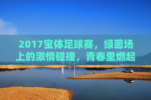 2017宝体足球赛，绿茵场上的激情碰撞，青春里燃起体育火焰，2017宝体足球赛，绿茵激情碰撞，青春体育火焰燃起