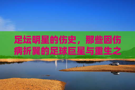 足坛明星的伤史,那些因伤病折翼的足球巨星与重生之路,足坛明星的伤史,伤病折翼的足球巨星与重生之路