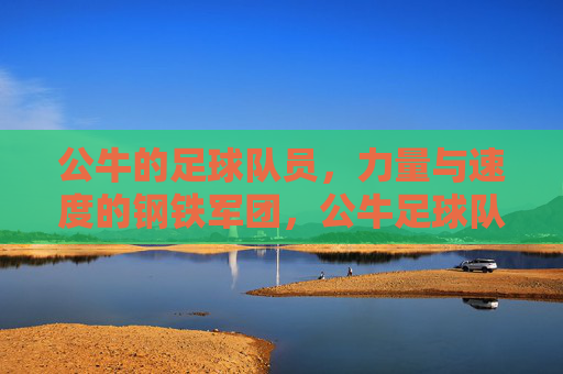 公牛的足球队员,力量与速度的钢铁军团,公牛足球队员,力量与速度的钢铁军团