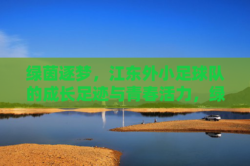 绿茵逐梦，江东外小足球队的成长足迹与青春活力，绿茵逐梦，江东外小足球队的成长足迹与青春活力