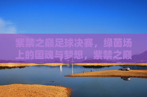 紫禁之巅足球决赛，绿茵场上的国魂与梦想，紫禁之巅足球决赛，绿茵场上的国魂与梦想