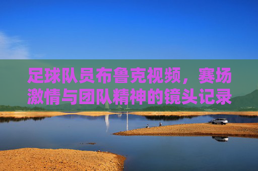 足球队员布鲁克视频，赛场激情与团队精神的镜头记录，足球队员布鲁克赛场激情与团队精神镜头记录