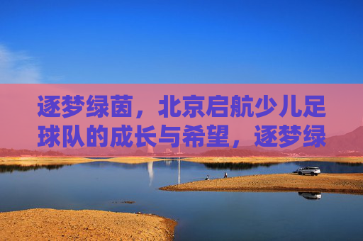 逐梦绿茵,北京启航少儿足球队的成长与希望,逐梦绿茵,北京启航少儿足球队的成长与希望