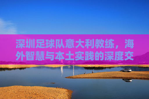 深圳足球队意大利教练，海外智慧与本土实践的深度交融，深圳足球队意大利教练，海外智慧与本土实践的深度交融