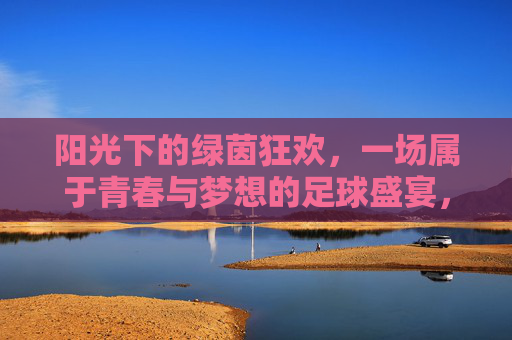 阳光下的绿茵狂欢,一场属于青春与梦想的足球盛宴,阳光下的绿茵狂欢,一场属于青春与梦想的足球盛宴