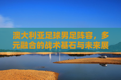 澳大利亚足球男足阵容，多元融合的战术基石与未来展望，澳大利亚足球男足阵容，多元融合的战术基石与未来展望
