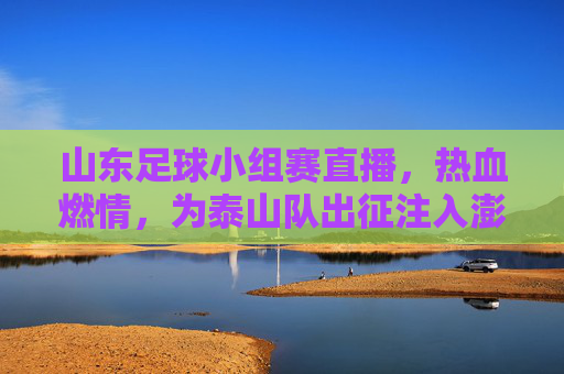 山东足球小组赛直播,热血燃情,为泰山队出征注入澎湃力量,山东足球小组赛直播,热血燃情,为泰山队出征注入澎湃力量