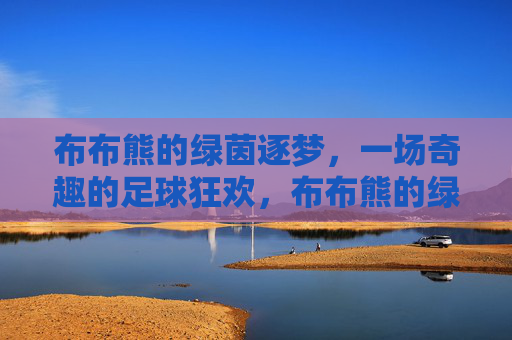 布布熊的绿茵逐梦,一场奇趣的足球狂欢,布布熊的绿茵逐梦,一场奇趣的足球狂欢
