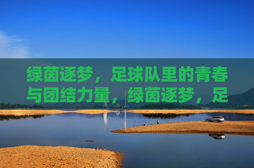 绿茵逐梦，足球队里的青春与团结力量，绿茵逐梦，足球队里的青春与团结力量