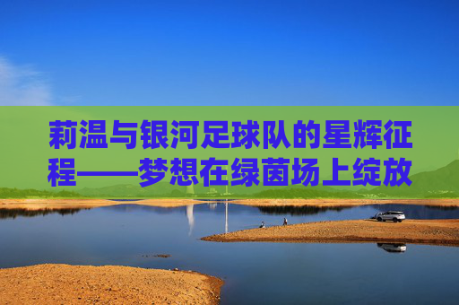 莉温与银河足球队的星辉征程——梦想在绿茵场上绽放，莉温与银河足球队的星辉征程——梦想在绿茵场上绽放