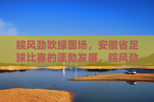 皖风劲吹绿茵场,安徽省足球比赛的蓬勃发展,皖风劲吹绿茵场,安徽省足球比赛的蓬勃发展