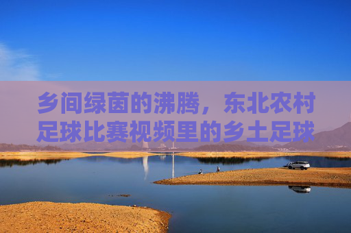 乡间绿茵的沸腾，东北农村足球比赛视频里的乡土足球魂，乡间绿茵的沸腾，东北农村足球比赛里的乡土足球魂