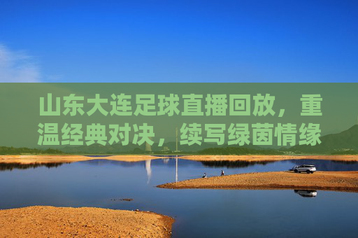 山东大连足球直播回放，重温经典对决，续写绿茵情缘，山东大连足球直播回放，重温经典对决，续写绿茵情缘